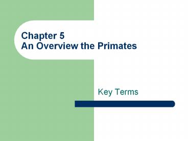 Chapter%205%20An%20Overview%20the%20Primates