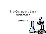 The Compound Light Microscope