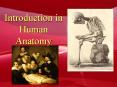 Introduction in Human Anatomy PowerPoint PPT Presentation