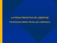 LA PENA PRIVATIVA DE LIBERTAD PROFESORA MAR