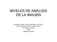 NIVELES DE AN PowerPoint PPT Presentation