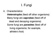 I. Fungi