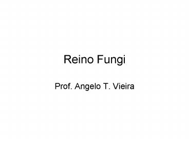 Reino Fungi
