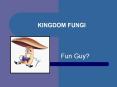 KINGDOM%20FUNGI PowerPoint PPT Presentation
