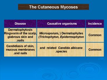 presentation player overlay