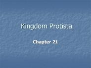 Kingdom Protista