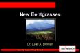New Bentgrasses PowerPoint PPT Presentation