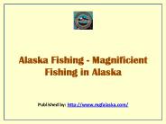 Magnificient Fishing In Alaska