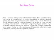 Gold Digger An Online Business