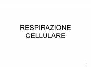 Diapositiva 1