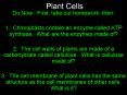 Plant Cells PowerPoint PPT Presentation