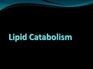Lipid Catabolism