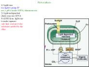 Bio 226: Cell and Molecular Biology