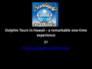 Dolphin Tours in Hawaii