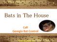How to Catch a Bat in The House PowerPoint PPT Presentation