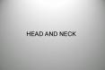 HEAD AND NECK PowerPoint PPT Presentation