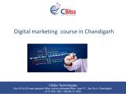 Digitaln marketing course in chandigarh