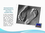 Diccionario b