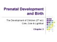 Prenatal Development and Birth PowerPoint PPT Presentation