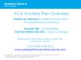 ACA Ancillary Plan Overview PowerPoint PPT Presentation
