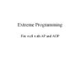 Extreme Programming PowerPoint PPT Presentation