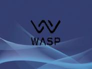 Web development company