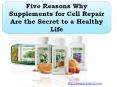 Five Reasons Why Supplements for Cell Repair Are the Secret to a Healthy Life PowerPoint PPT Presentation