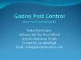 Get best Pest Control in Delhi, call us @9811381458