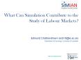 What Can Simulation Contribute to the Study of Labour Markets? PowerPoint PPT Presentation