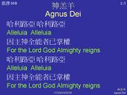 ??? Agnus Dei