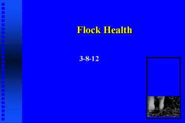 Flock Health