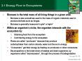 2.1 Energy Flow in Ecosystems PowerPoint PPT Presentation