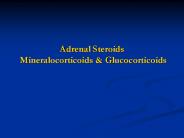 Adrenal Steroids Mineralocorticoids