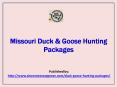 Show Me Snow Geese-Missouri Duck & Goose Hunting Packages PowerPoint PPT Presentation