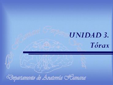 UNIDAD 3. T