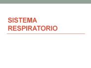 SISTEMA RESPIRATORIO