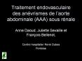 Traitement endovasculaire des an PowerPoint PPT Presentation