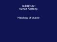 Biology 201 Human Anatomy I PowerPoint PPT Presentation