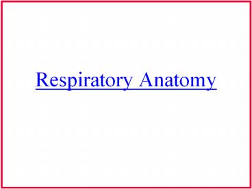 Respiratory Anatomy