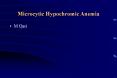 Microcytic Hypochromic Anemia PowerPoint PPT Presentation