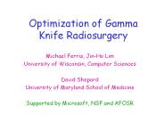 Optimization of Gamma Knife Radiosurgery