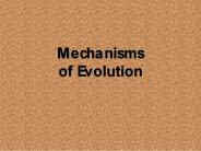 Mechanisms of Evolution