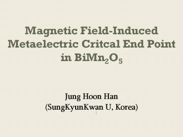 Magnetic Field-Induced Metaelectric Critcal End Point