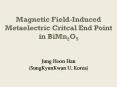 Magnetic Field-Induced Metaelectric Critcal End Point PowerPoint PPT Presentation