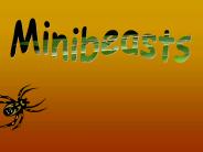 Minibeasts