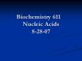 Biochemistry 611 Nucleic Acids 8-28-07 PowerPoint PPT Presentation