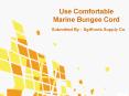 Use Comfortable Marine Bungee Cord PowerPoint PPT Presentation