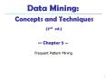 Data Mining:  Concepts and Techniques (2nd ed.)  PowerPoint PPT Presentation