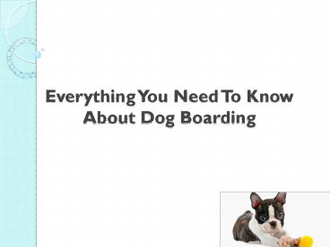 Everything You Need To Know About Dog Boarding