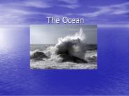 The Ocean